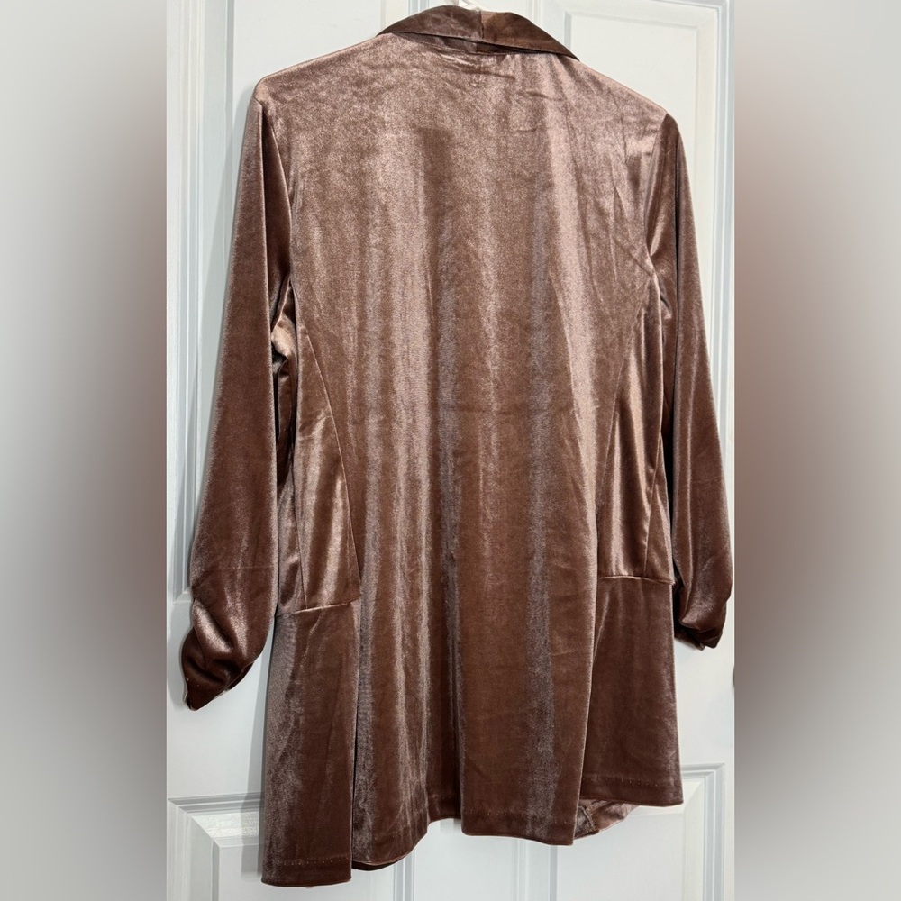 Elegant Champagne Velour Blazer | L | - Picture 5 of 10